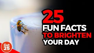 25 Fun Facts to Brighten Your Day [upl. by Eart]