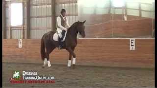 Dr Ulf Moller teaches student on a young horse [upl. by Wolfgram187]