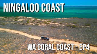 WA Coast Trip Ep4  Ningaloo Coat Part1 [upl. by Tyra893]