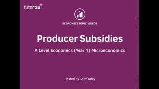 Producer Subsidies I A Level and IB Economics [upl. by Voltmer]