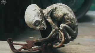 Mysterious Humanlike creature found in Mexico [upl. by Annawt416]