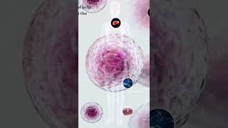 Did You Know What Mesenchymal Stem Cells MSC Can Do  MGRC [upl. by Edia193]