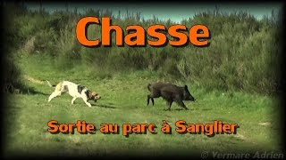 Chasse  Sortie au parc à Sanglier  Episode 2 [upl. by Nore]