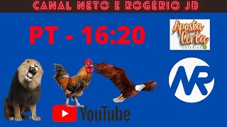 RESULTADO AO VIVO ROGERIO E NETO JB  PTV  27112024 [upl. by Ayikat]