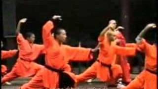 Chin Woo Uster  Chow Kok Yeng im Shaolin Kloster Teil 1 [upl. by Harehs]