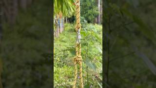 Very Useful Knots For Camping knots tricks useful diy tips shorts [upl. by Jacqueline249]