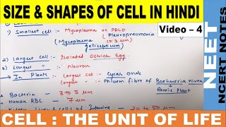 Size and Shapes of Cell in Hindi  Cell  The unit of life  Class 11  Class9  CBSE  NEET 2122 [upl. by Shaylyn]