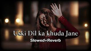 Uski Dil Ka Khuda Jane  Slowed  Reverb  New Punjabi Song 2024  Lofi Hip Hop [upl. by Honora490]