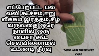 இந்த இலையை வாயில் ஒதுக்கினால் பல் வலிஈறு நோய்கள் பறந்து விடும்  pal eeru vali in tamil [upl. by Annaig995]