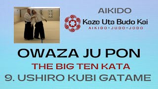 Owaza Ju Pon 9 Ushiro Kube Gatame [upl. by Ennovart614]