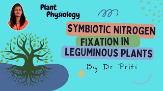 Plant Physiology I Lecture  18  Symbiotic Nitrogen Fixation in leguminous Plants I Dr Priti [upl. by Sweeney885]