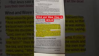 Wind and wave obey in Jesus wordofgod jesuschrist jesus youtubeshorts [upl. by Jovia]