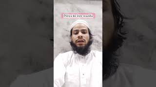 Piliya Ka Ilaj  Pilia ki Bimari Ka Ilaj  Piliya ka Quran se Ilaj  Wazifa Hafiz Nazish [upl. by Legnaros]