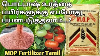 பொட்டாஷ் உரத்தின் பயன்கள்  mop fertilizer Tamil  potash fertilizer usage in tamil  potash mop [upl. by Erdied]