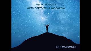 ACTINOMYCETES amp NOCARDIA features Microbiology  SKY MEDICAL MNEMONICS [upl. by Ilatfen558]