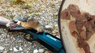 Dove Hunt Catch and Cook with New Dove Recipe  Nevada Youth Hunter [upl. by Earised712]