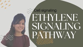 ETHYLENE SIGNALING PATHWAY cellsignaling csirnet [upl. by Dione]