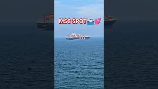 MSC ENTRY MSC VIEW CONATINERS SHIPME🤭💕shorts trending subscribe viralshorts love navy [upl. by Turro675]