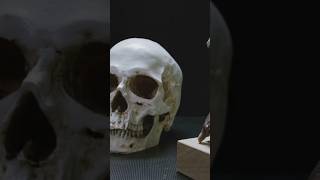 Bones Vs Steel The Surprising Truth bones facts factshorts shorts humanbones human humanbody [upl. by Arden]