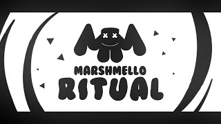 Marshmello  Ritual feat Wrabel Lyric Video [upl. by Yorgen]