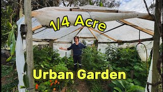 Urban Oasis Tour of a QuarterAcre Regenerative Garden [upl. by Esirrehc]