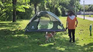 GeerTop Pet Companion Tent [upl. by Peyter]