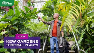 Kew Gardens tropical amp exotic plant tour [upl. by Ahsirk123]