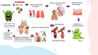 Bronquiolitis parte 1FisiopatologíaPediatría [upl. by Barry]