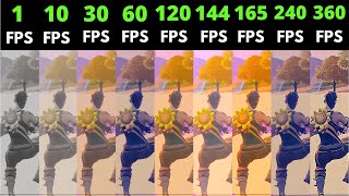 Fortnite 1fps vs 10fps vs 30fps vs 60fps vs 120fps vs 144fps vs 165fps vs 240fps vs 360fps [upl. by Anaehr]