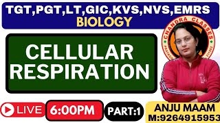 CELLULAR RESPIRATION  INTRODUCTION  BY ANJU MAM [upl. by Julieta]