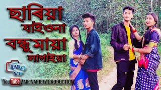 Sariya Jayona bondhu maya lagaiya। ছারিয়া যাইওনা বন্ধু মায়া লাগাইয়া। MR Variety Production [upl. by Warfield]