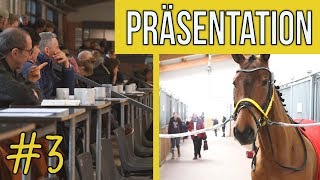 Die Auftaktpräsentation  Verdener Auktion  TEIL 3  BinieBo  Reportage [upl. by Enyrhtac]