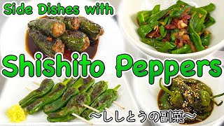 4 easy side dishes with Shishito Peppers 〜ししとう副菜四種〜  easy Japanese home cooking recipe [upl. by Skyla]