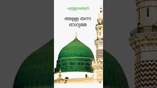 album punya rasool song allah thanna bhagyame singer  nowshad ty [upl. by Edmonda]