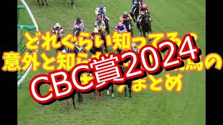 見えた！今年のCBC賞2024の攻略に役立つ競馬のランキングまとめ [upl. by Krebs]