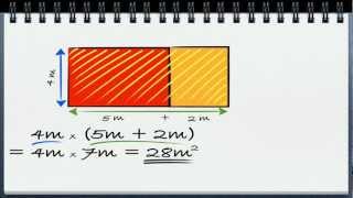 Algebra video 5  multiplikasjon med parentesuttrykk én parentes [upl. by Alix]