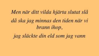 Stiftelsen  Vildhjärta lyrics [upl. by Munson]