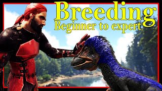 The Ultimate Breeding and Mutations Guide 2023  Ark survival Evolved [upl. by Eibrad]