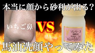 【顔から砂利？】いちご鼻が馬油洗顔やってみたら…【毛穴黒ずみ撃退】 [upl. by Rumney]