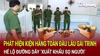 Phát hiện kiện hàng kinh hoàng tại sân bay hé lộ đường dây ‘xuất khẩu sọ người’  Hồ Sơ Vụ Án [upl. by Marji190]