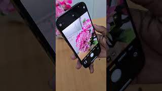 IPhone 12 pro max ১০০ ফ্রেশ কন্ডিশন এর ফোন usedphonepriceinbangladesh2024 iphone [upl. by Anyk]