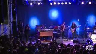 DAngelo at AFROPUNK FEST 2014 FULL SET [upl. by Jordanson887]