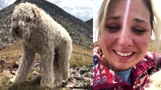 Owner Reunites With Her Dog After Goldendoodle Was Lost in Rocky Mountains [upl. by Meletius]