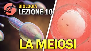 BIOLOGIA  Lezione 10  La Meiosi [upl. by Anitsej]