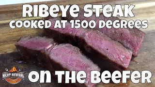 Ribeye Steak on the Beefer  1500 Degrees Seared Ribeye [upl. by Narik761]