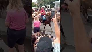 Chincoteague Pony Parade wild horse video pony parade Chincoteague wildhorses [upl. by Giuliana]