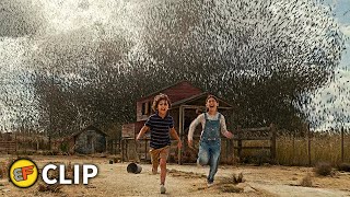 Giant Locusts Attack  Texas Scene  Jurassic World Dominion 2022 Movie Clip HD 4K [upl. by Akiraa]