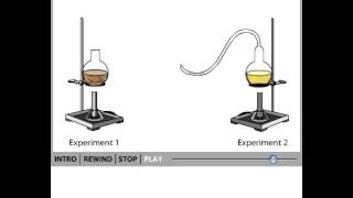 Pasteurs experiment [upl. by Akirdna95]