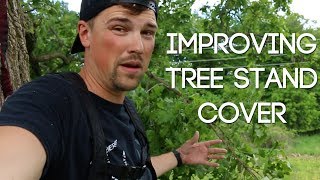 IMPROVING TREE STAND COVER  WiredToHuntWeekly 18 [upl. by Burnett]