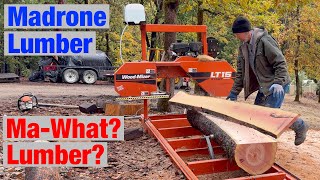 Does Madrone Make Good Lumber Lets Find Out on Woodmizer LT15 Sawmill [upl. by Oflodor925]